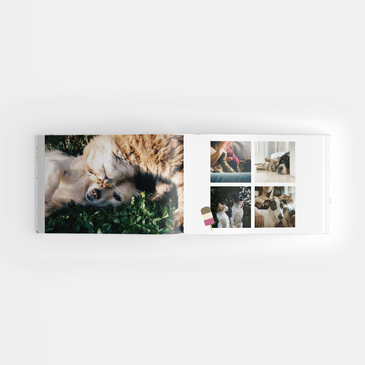 Pet Photobook