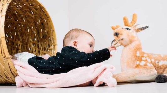 foto bayi baru lahir​