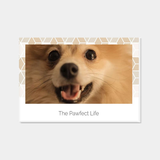 The Pawfect Life